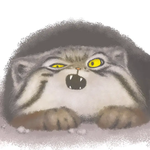 好屌看视频这里精品
