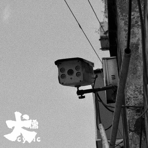 好屌看视频这里精品
