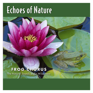 好屌看视频这里精品
